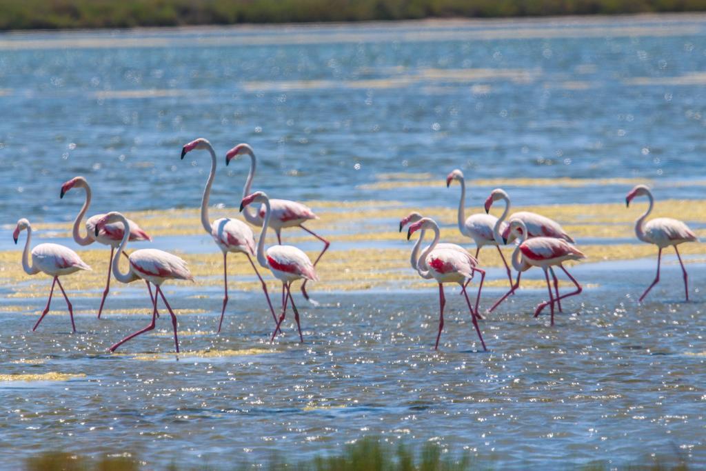 Brasilia Hotel Palavas-les-Flots Luaran gambar